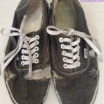 微信图片_20260305133959_981_1976